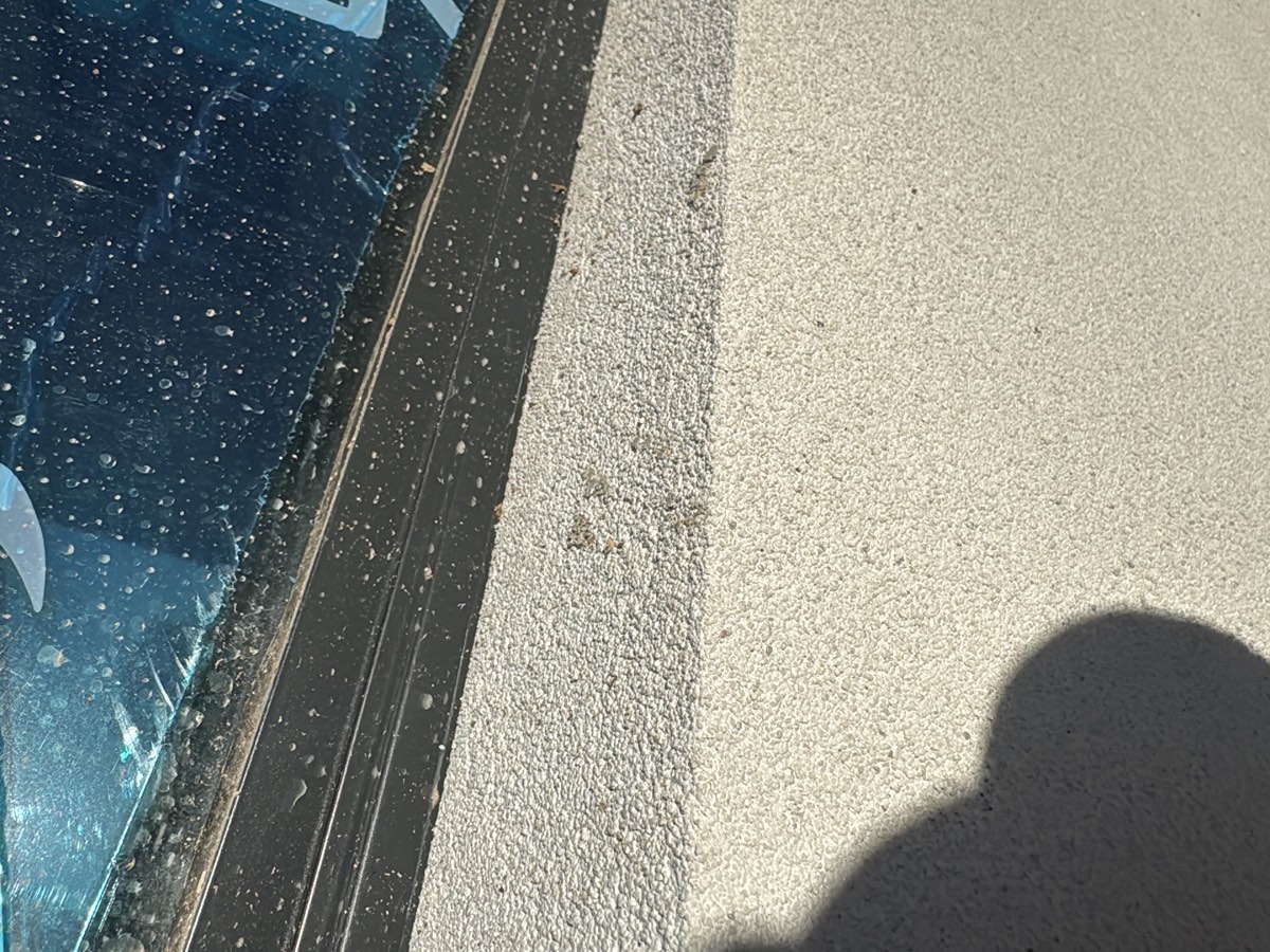 Fire rated sealant, recorded on a lock-up inspection in Schofields