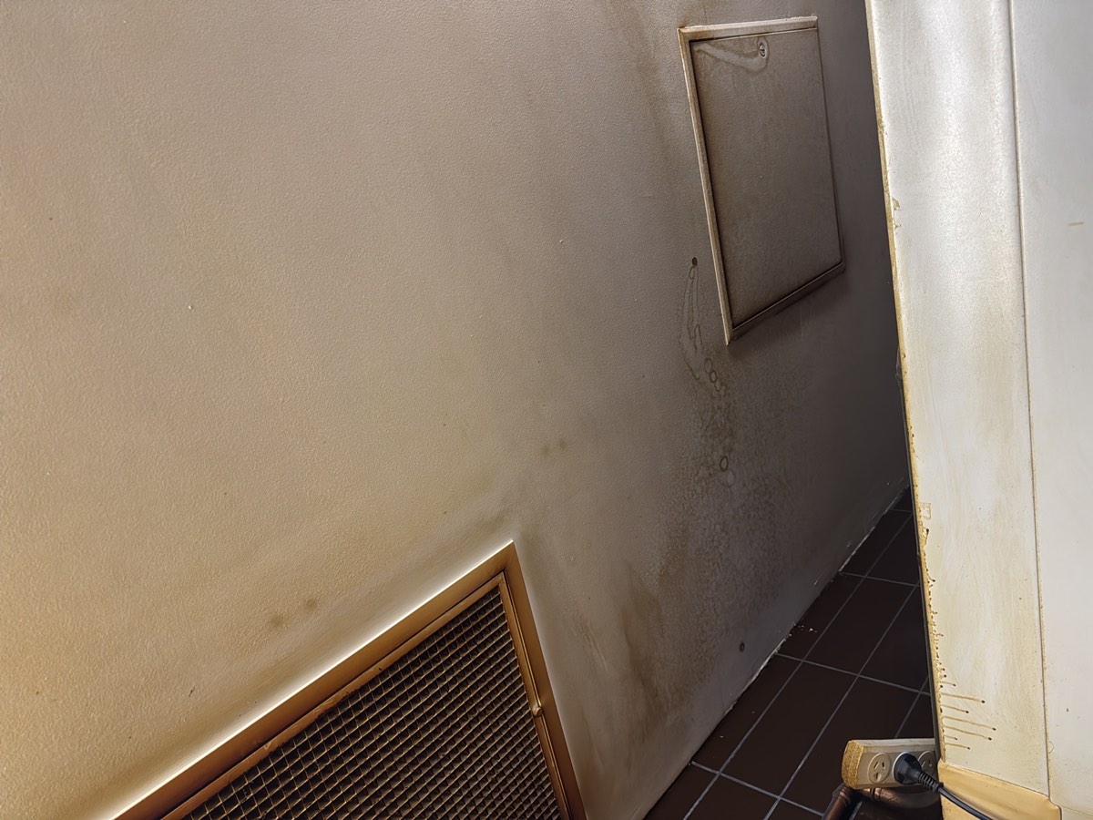 Staining under a kitchen cabinet, Schofields